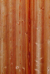 Similar image 21166896