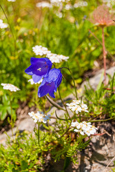 Similar image 21166898