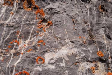 Similar image 21166900