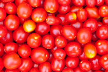 Similar image 21166902