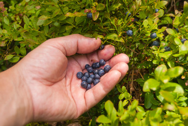 Similar image 21169411