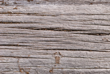 Similar image 21169415