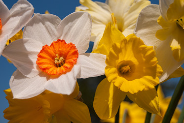 Similar image 21169592