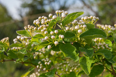 Similar image 21169596