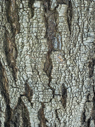 Similar image 21169605