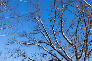 Similar image 21169819