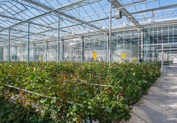 Similar image 21162542