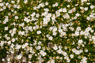 Similar image 21166395