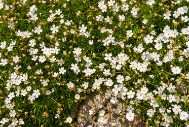 Similar image 21166396