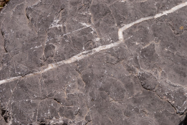 Similar image 21166397