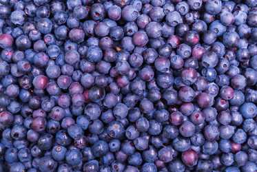 Similar image 21137853