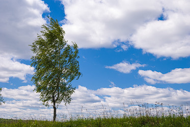 Similar image 21166553