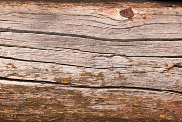 Similar image 21166554