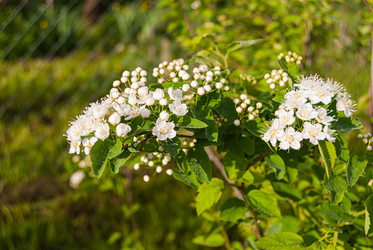 Similar image 21166637