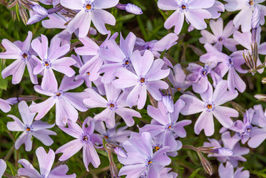 Similar image 21166904