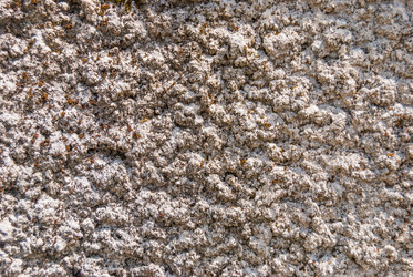 Similar image 21166402