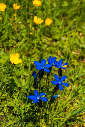 Similar image 21166403