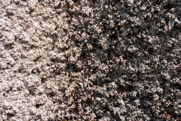 Similar image 21166404