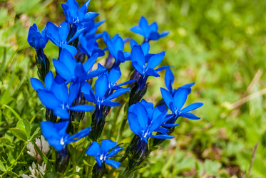 Similar image 21166516