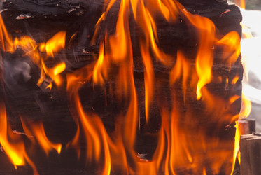 Similar image 21166558