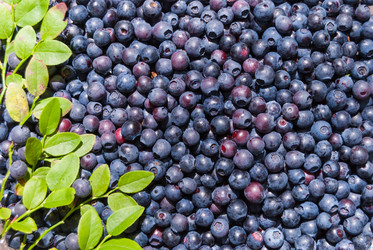 Similar image 21166559