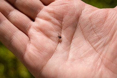 Similar image 21166560