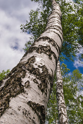 Similar image 21166598