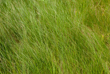 Similar image 21166599