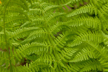 Similar image 21166640