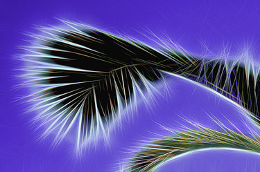 Similar image 21166927