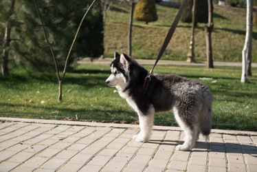 Similar image 21162579