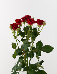 Similar image 21162591