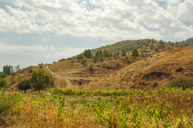 Similar image 21163130