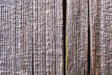 Similar image 21169623