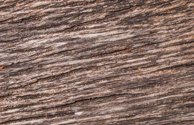 Similar image 21169824