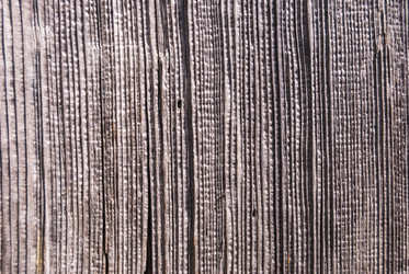 Similar image 21169825