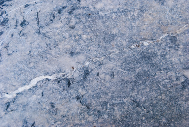 Similar image 21169827