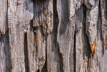 Similar image 21169833