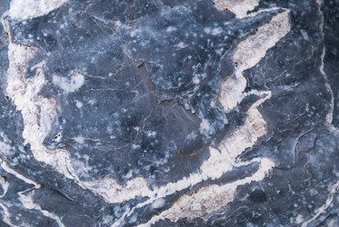 Similar image 21169834