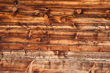 Similar image 21169835