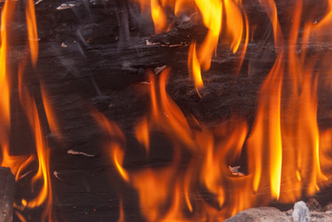 Similar image 21169839