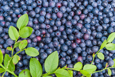 Similar image 21169840