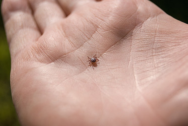 Similar image 21169841