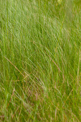 Similar image 21169842