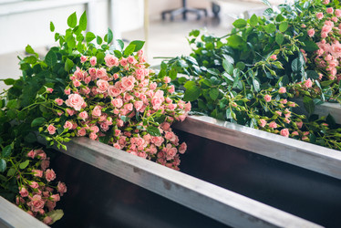 Similar image 21163555