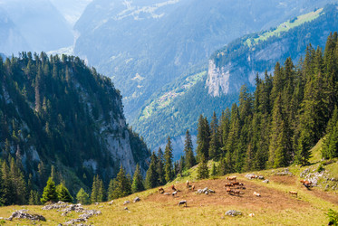 Similar image 21169636