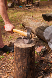 Similar image 21169855