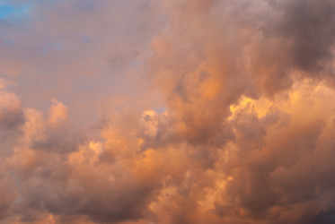 Similar image 21169858