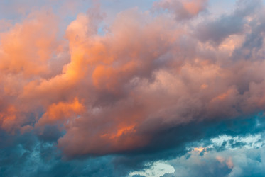 Similar image 21169859