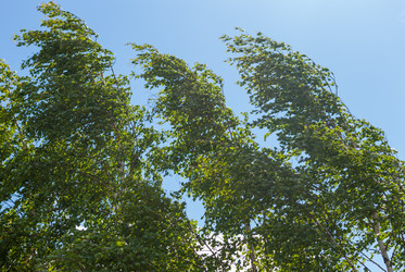 Similar image 21169865